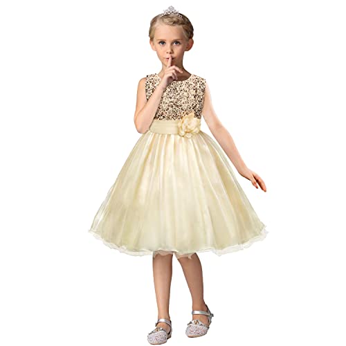 sequined tulle princess dress