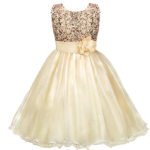 sequined tulle princess dress