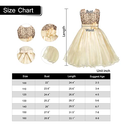 sequined tulle princess dress