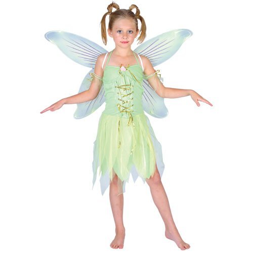 fairy costume